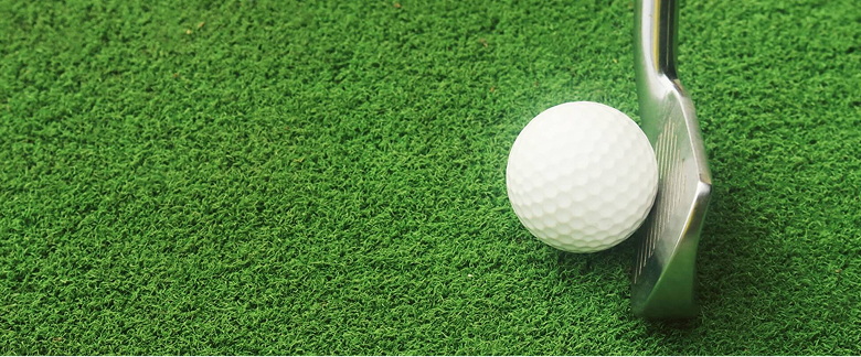 シミュレーションゴルフEcogolf