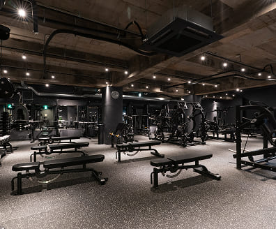 Gym & App